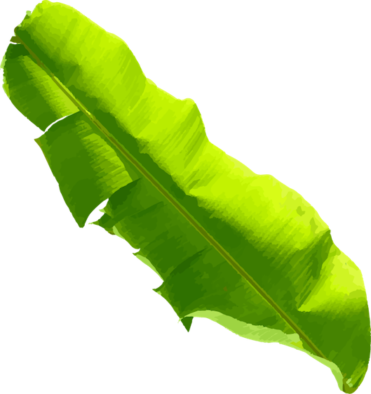 big_banana_leaf-right