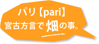fukidashi_pari